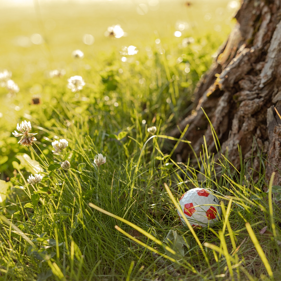 Bild på en golfboll med fotbollsmönster bakom ett träd.